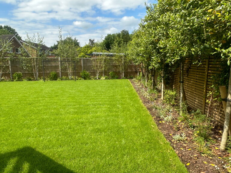 A vibrant green lawn bordered by neatly trimmed bushes and trees, creating a serene outdoor space