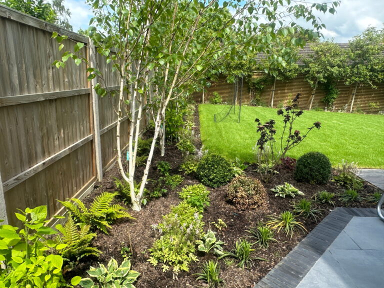 A landscaped garden featuring a mix of shrubs, ferns, and trees alongside a neatly maintained green lawn