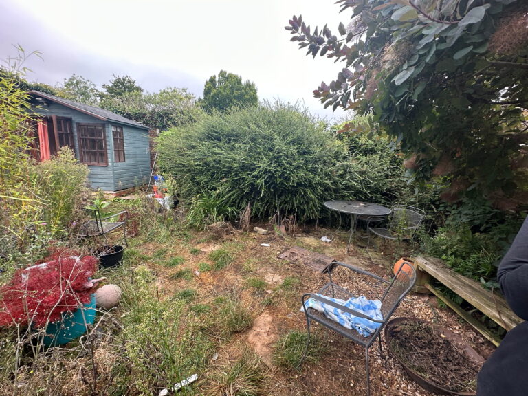 A cluttered garden features a wooden shed, overgrown plants, and a small table with chairs, evoking a wild, natural setting