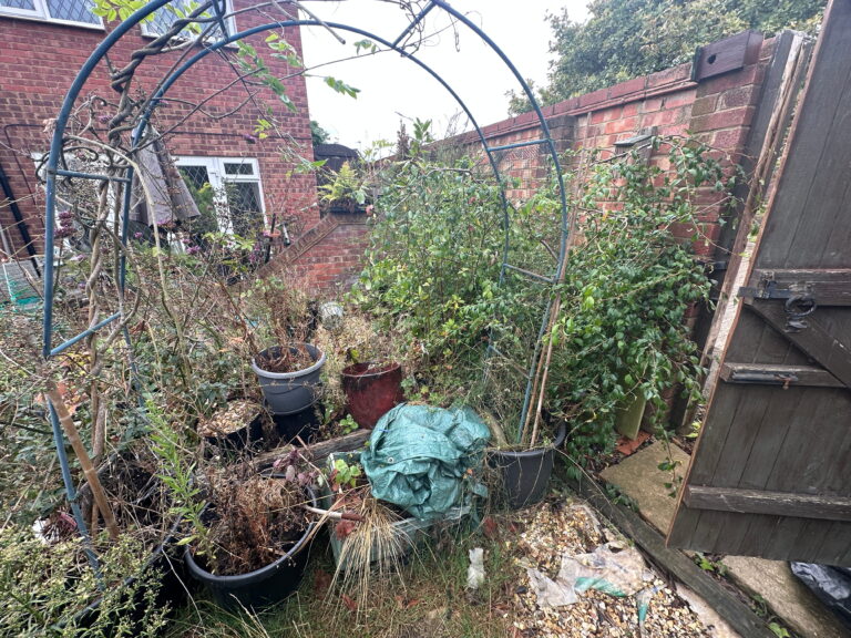 A cluttered garden featuring a metal arch, various potted plants, and dense greenery against a brick backdrop