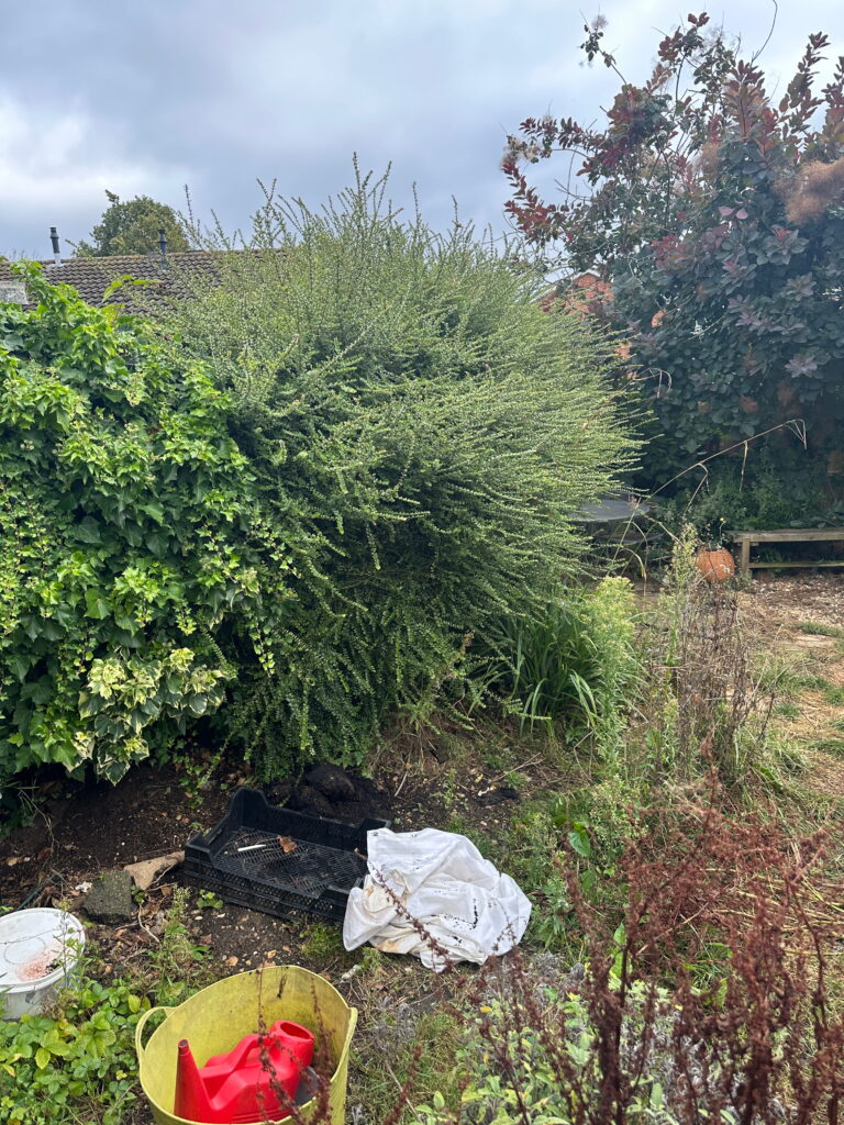 A lush garden scene featuring dense greenery, scattered gardening tools, and remnants of maintenance work under a cloudy sky