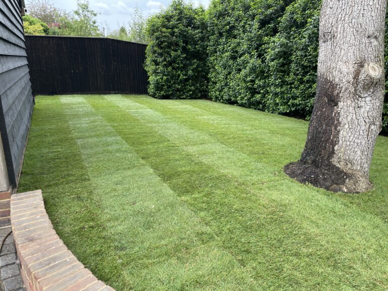 Lush green lawn with neatly striped grass, bordered by a rustic brick wall and vibrant hedges under a clear blue sky