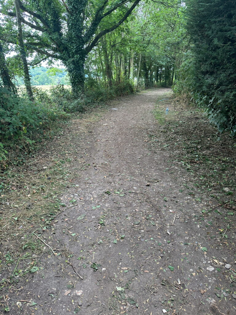 A serene dirt path bordered by lush greenery, inviting exploration in a tranquil natural setting