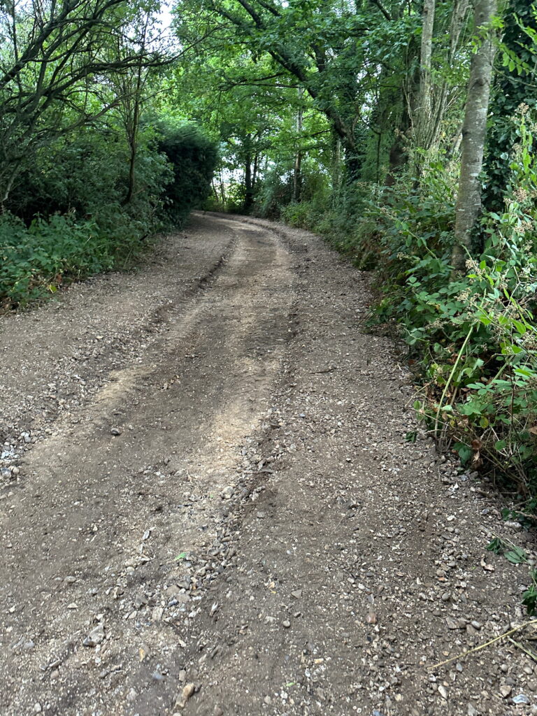 A winding, gravel path surrounded by lush green foliage, inviting exploration through a serene, wooded area