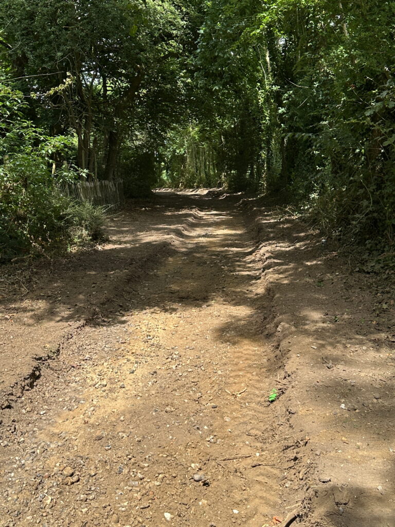 A serene, unpaved path bordered by lush greenery, inviting exploration under dappled sunlight filtering through tree canopies