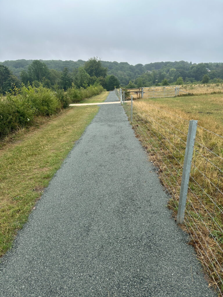 A serene pathway lined with fences leads into a misty green landscape, inviting exploration amidst nature's tranquility