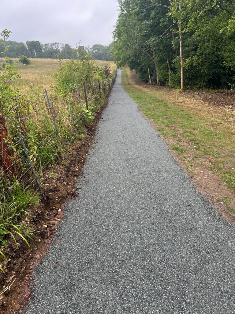 A serene pathway lined with greenery, leading through a field, surrounded by trees and a fence