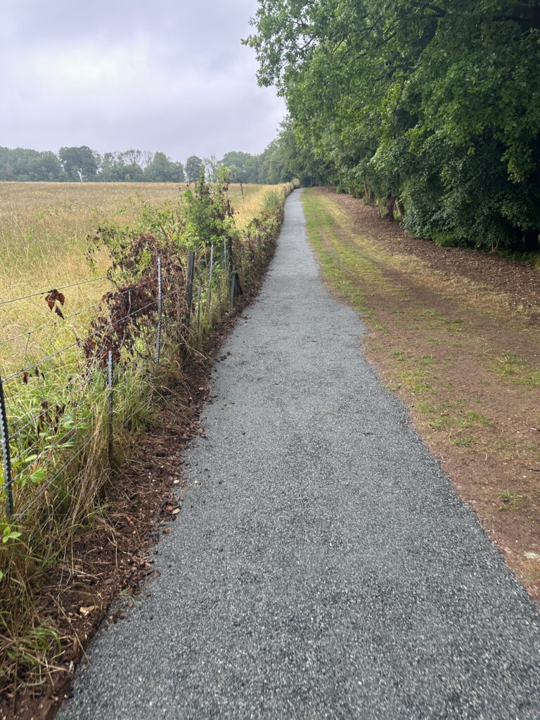 A gravel path winds through a field, bordered by trees and a wire fence, under a cloudy sky