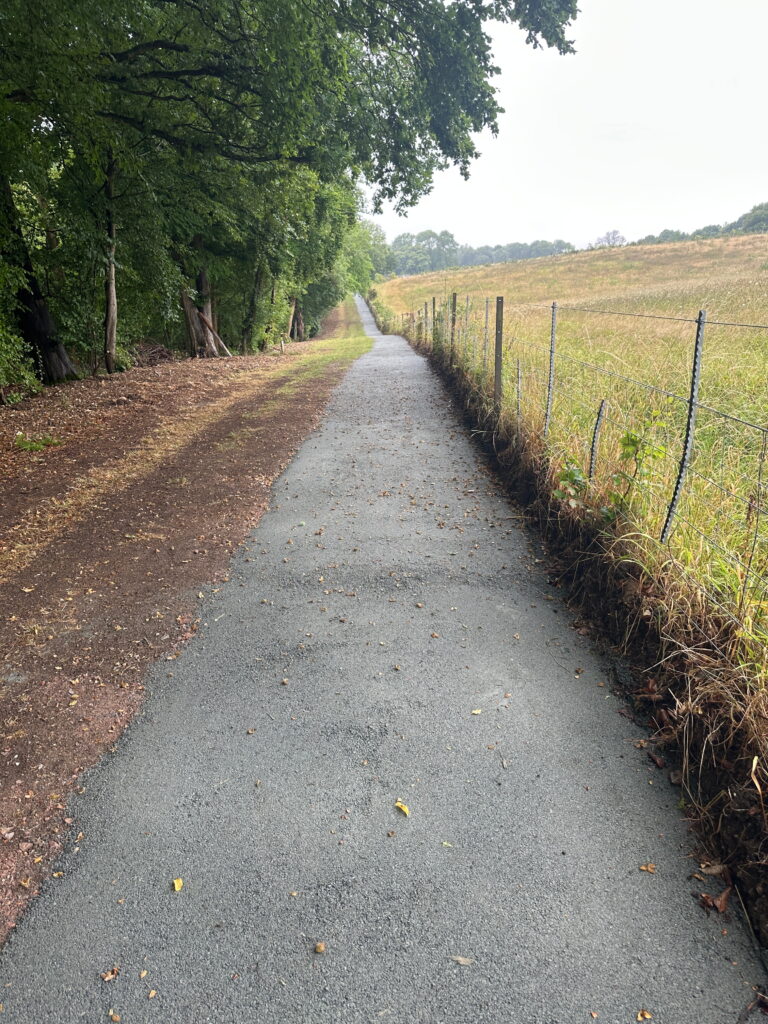 A serene pathway bordered by trees, leading towards an open field, invites exploration and tranquility