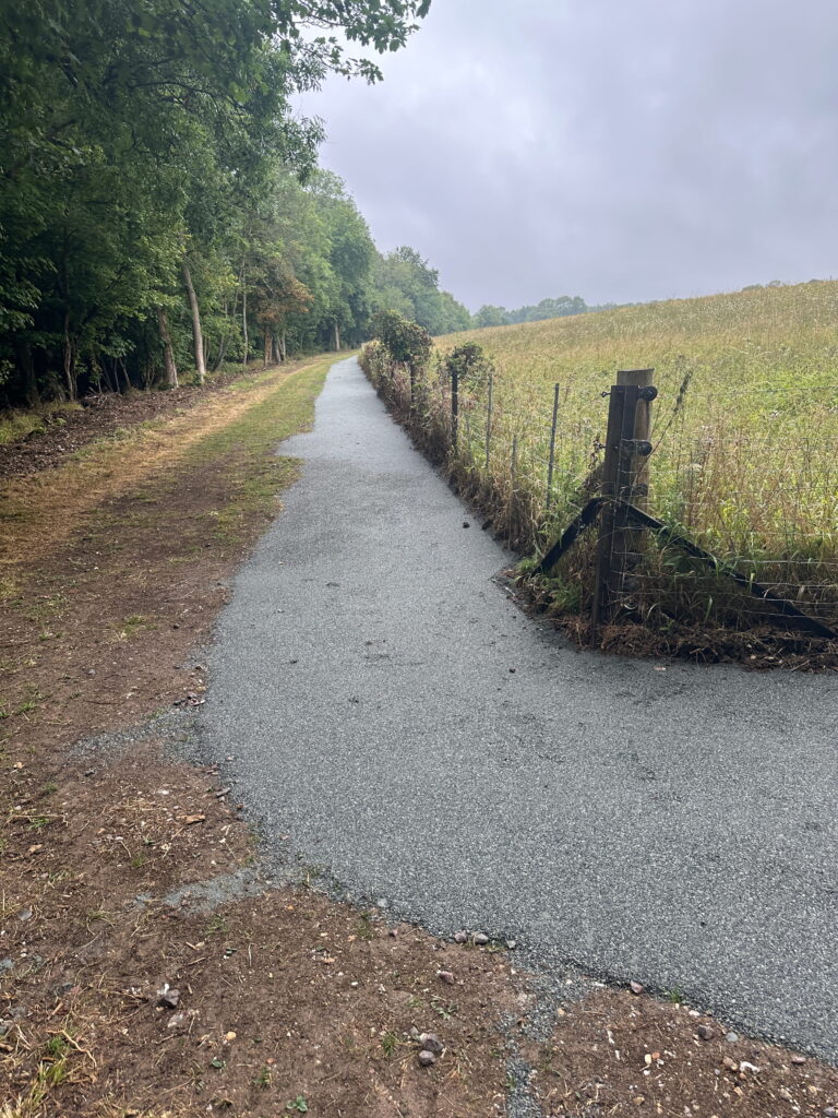 A scenic pathway lined with trees on one side and a field on the other, under cloudy skies